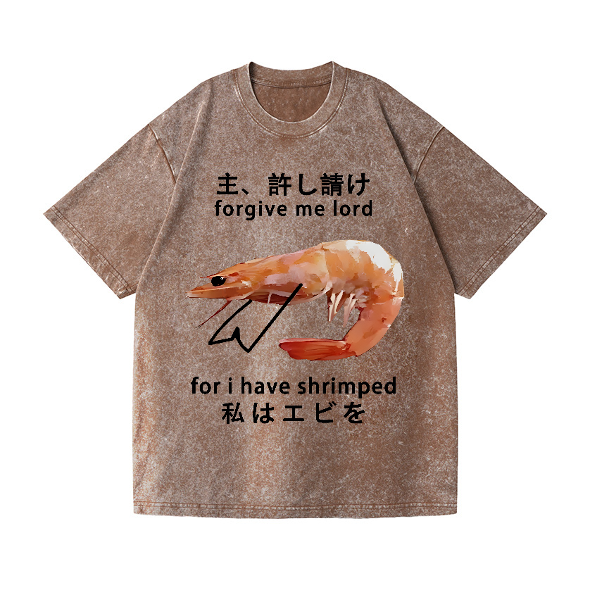 Shrimp Vintage Wash Japanese Design T-Shirt