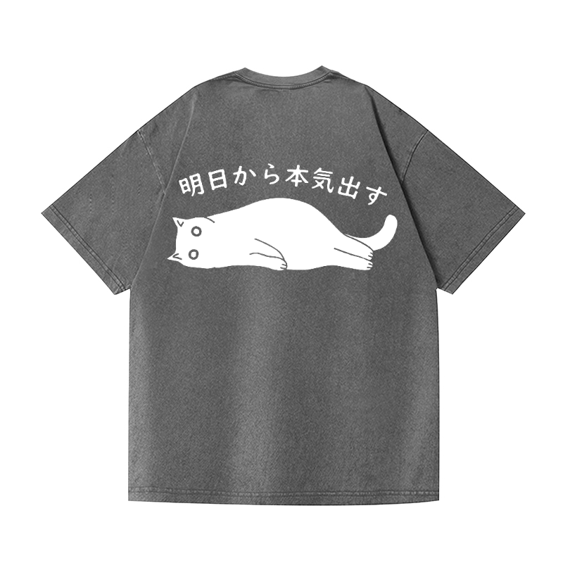 Cat Vintage Wash Japanese Design Back Art T-Shirt