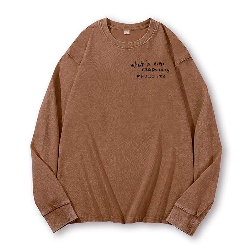 What Is Happening Vintage Washed Cotton Back Art Long-sleeve T-shirt