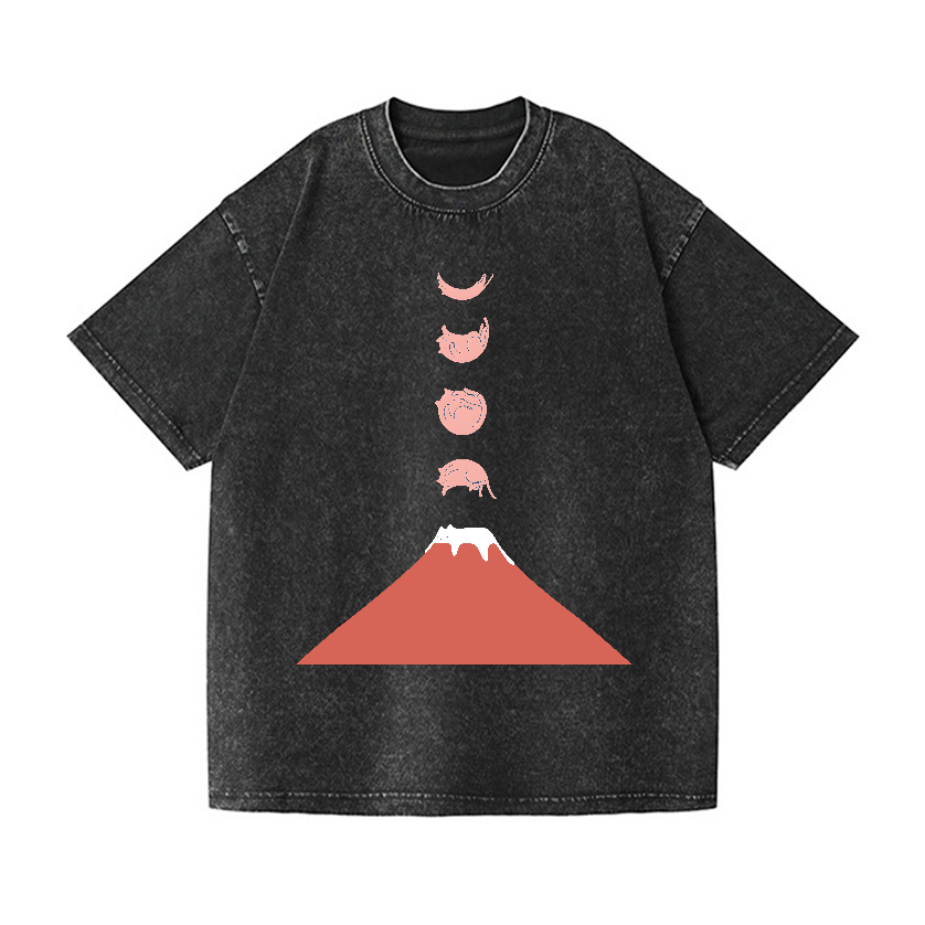 Mount FUJI Moon Cat Vintage Wash Japanese Design T-Shirt