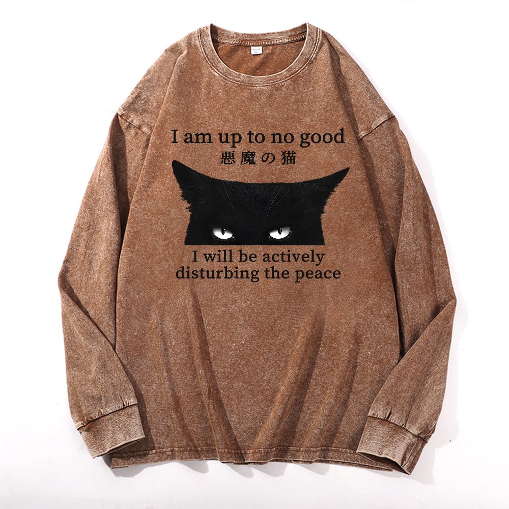 Black Devil Cat Vintage Cotton Wash Long-sleeve T-shirt