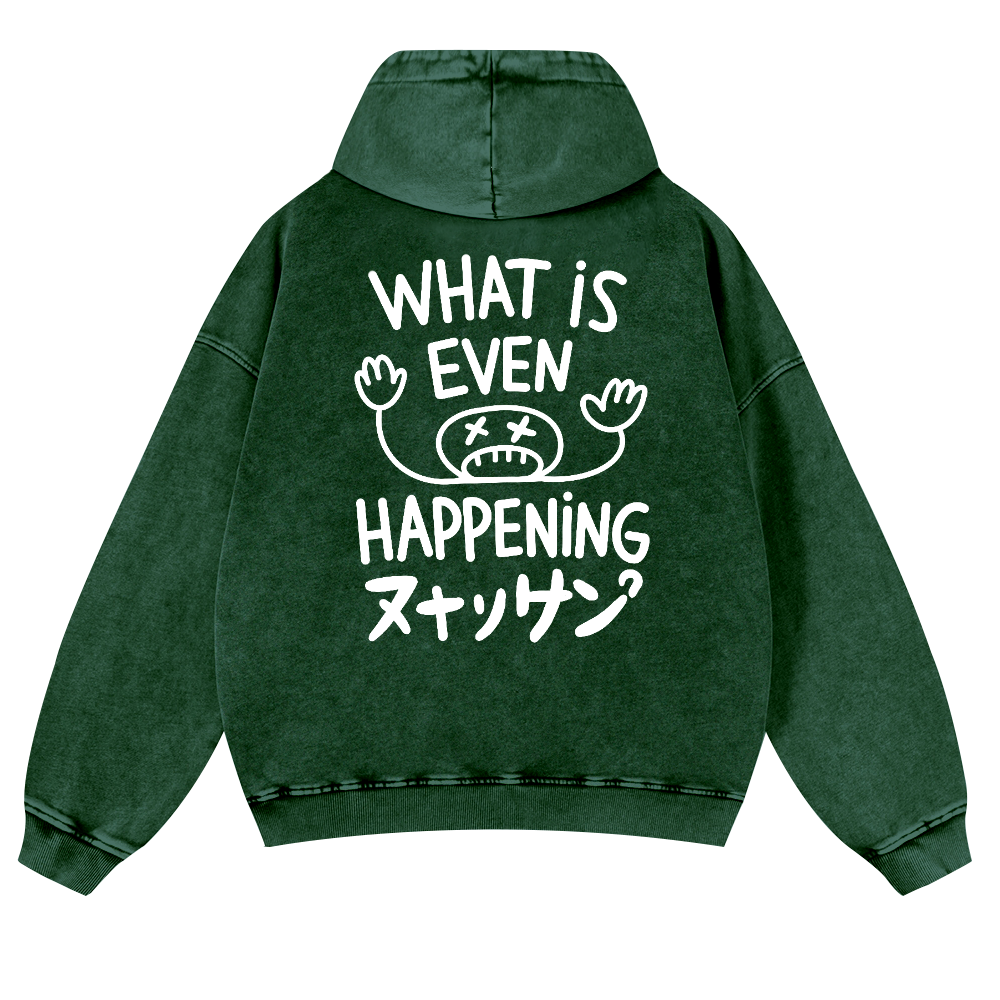 What Is Happening Vintage Washed Cotton Back Art Hoodie