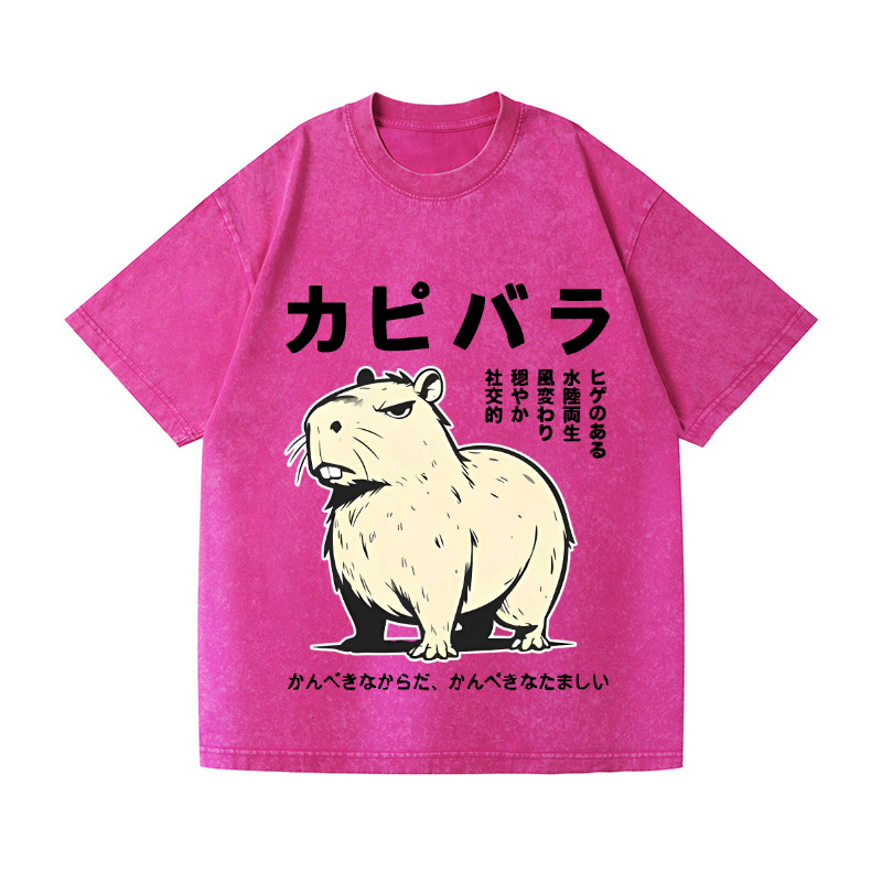 Capybara Vintage Wash Japanese Design T-Shirt