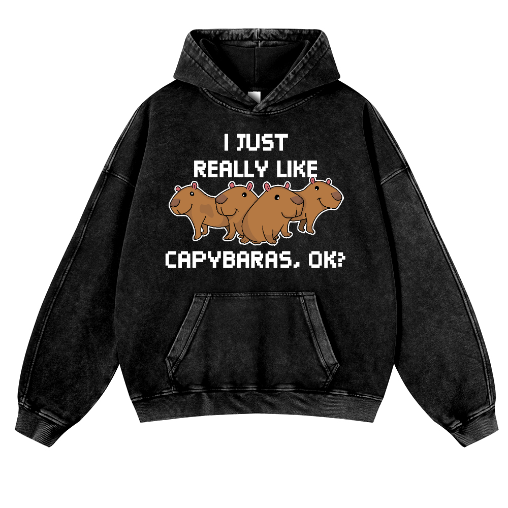 Capybara Vintage Washed Thick Cotton Hoodie