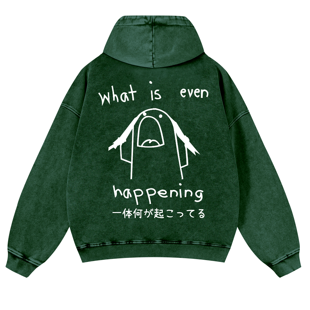 What Is Even Happening Vintage Washed Cotton Back Art Hoodie