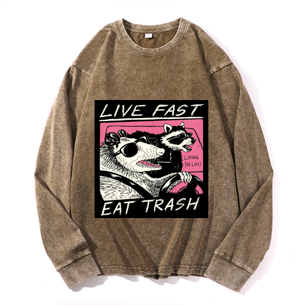 Vintage Cotton Wash Crewneck Sweatshirt