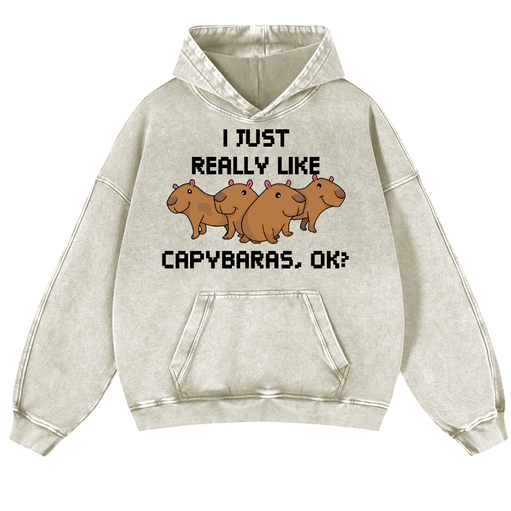 Capybara Vintage Washed Thick Cotton Hoodie
