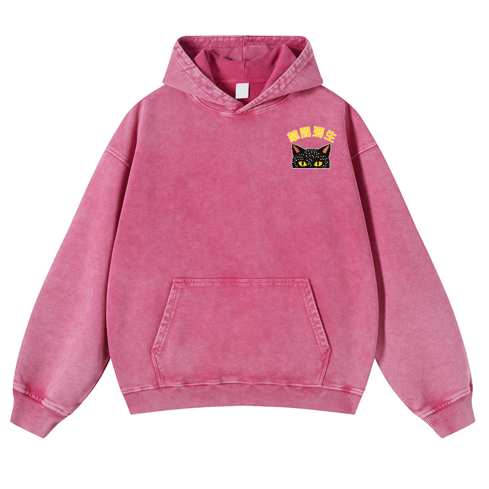 Yayoi Kusama Cat Vintage Washed Cotton Back Art Hoodie