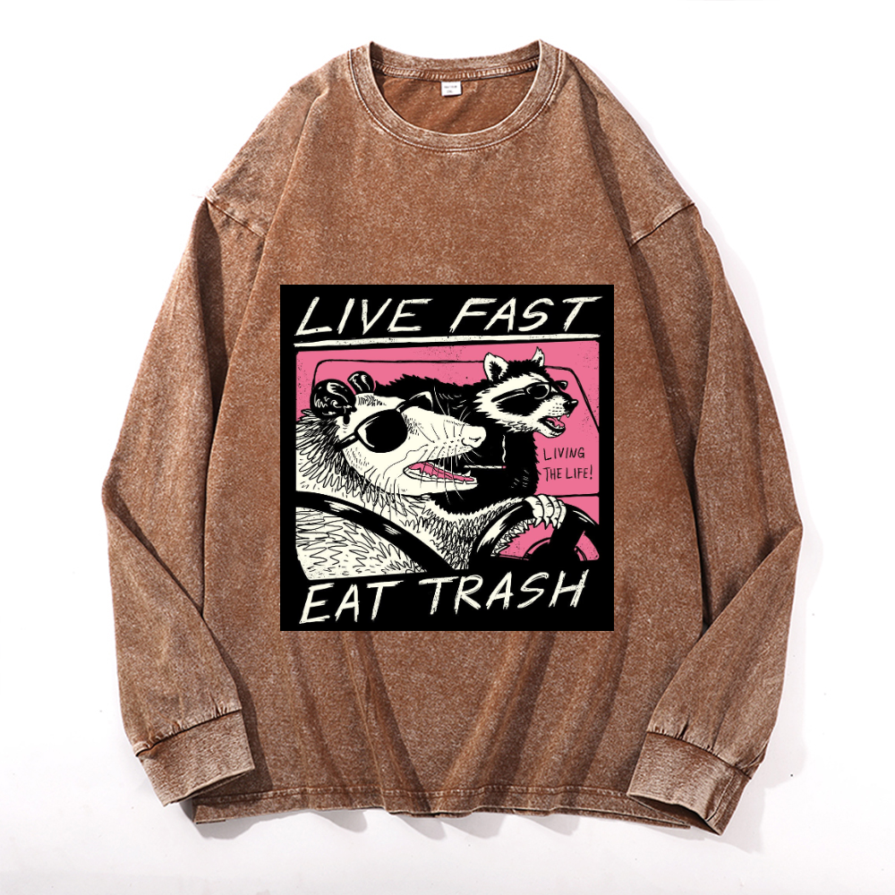 Vintage Cotton Wash Crewneck Sweatshirt