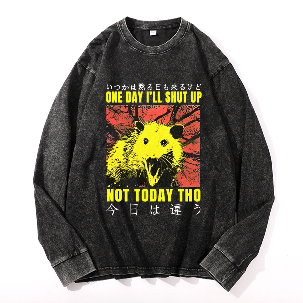 Vintage Cotton Wash Crewneck Sweatshirt