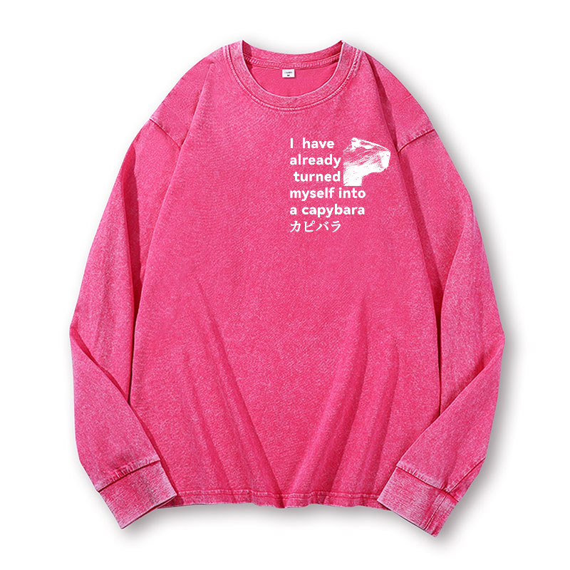 Capybara Vintage Washed Cotton Back Art Long-sleeve T-shirt