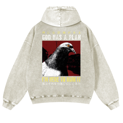 Pigeon Vintage Washed Cotton Back Art Hoodie
