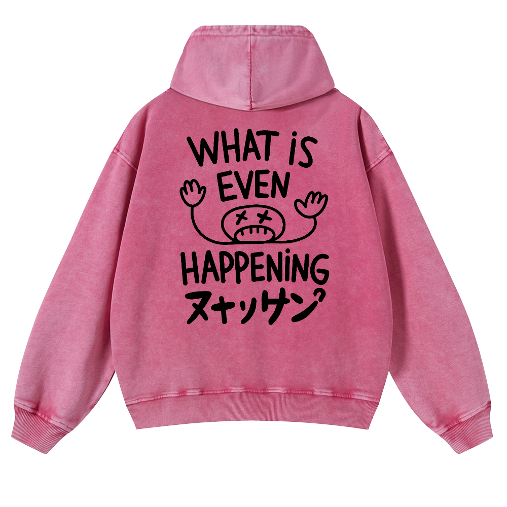 What Is Happening Vintage Washed Cotton Back Art Hoodie
