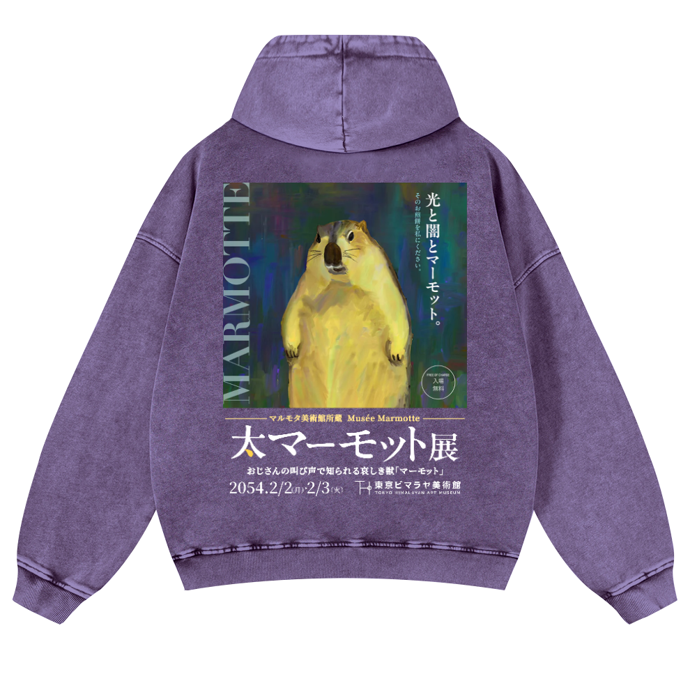 Marmot Vintage Washed Cotton Back Art Hoodie