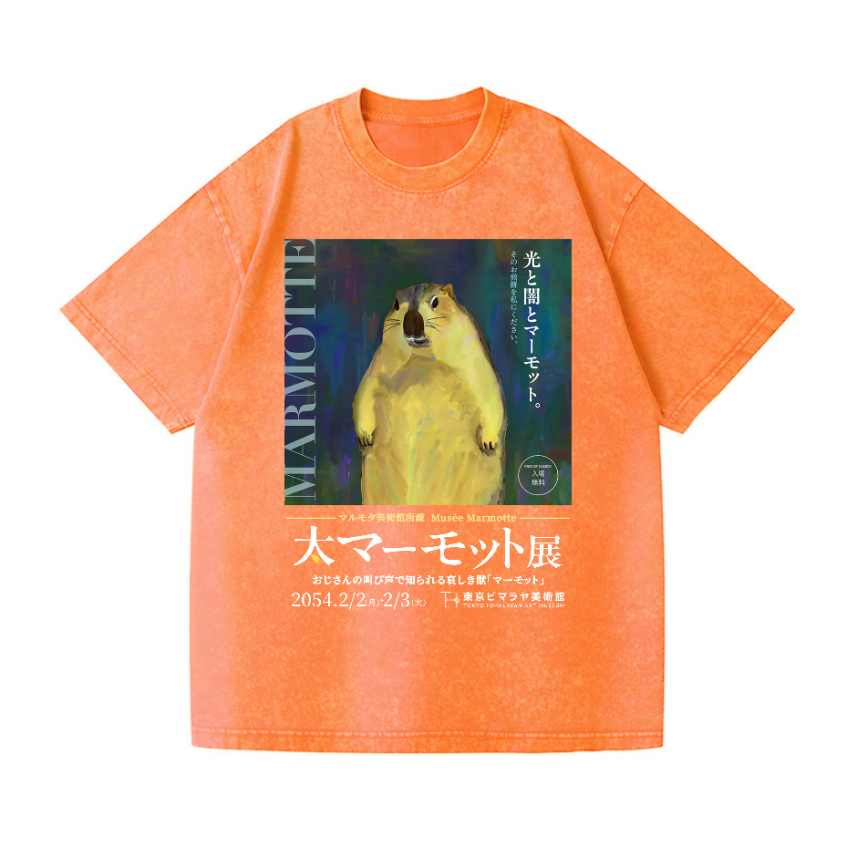 Marmot Vintage Wash Japanese Design T-Shirt