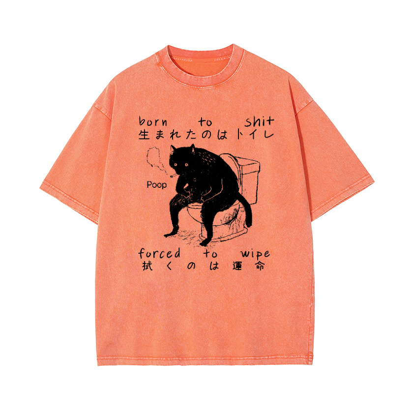 Cat Vintage Wash Japanese Design T-Shirt