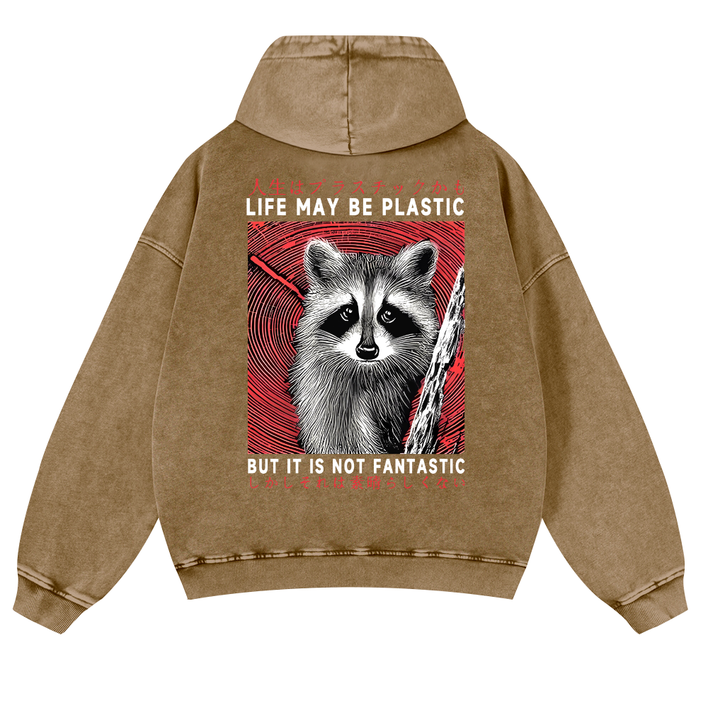 Raccoon Vintage Washed Cotton Back Art Hoodie