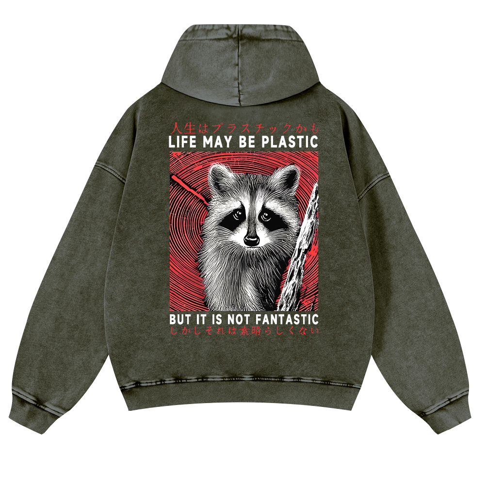 Raccoon Vintage Washed Cotton Back Art Hoodie