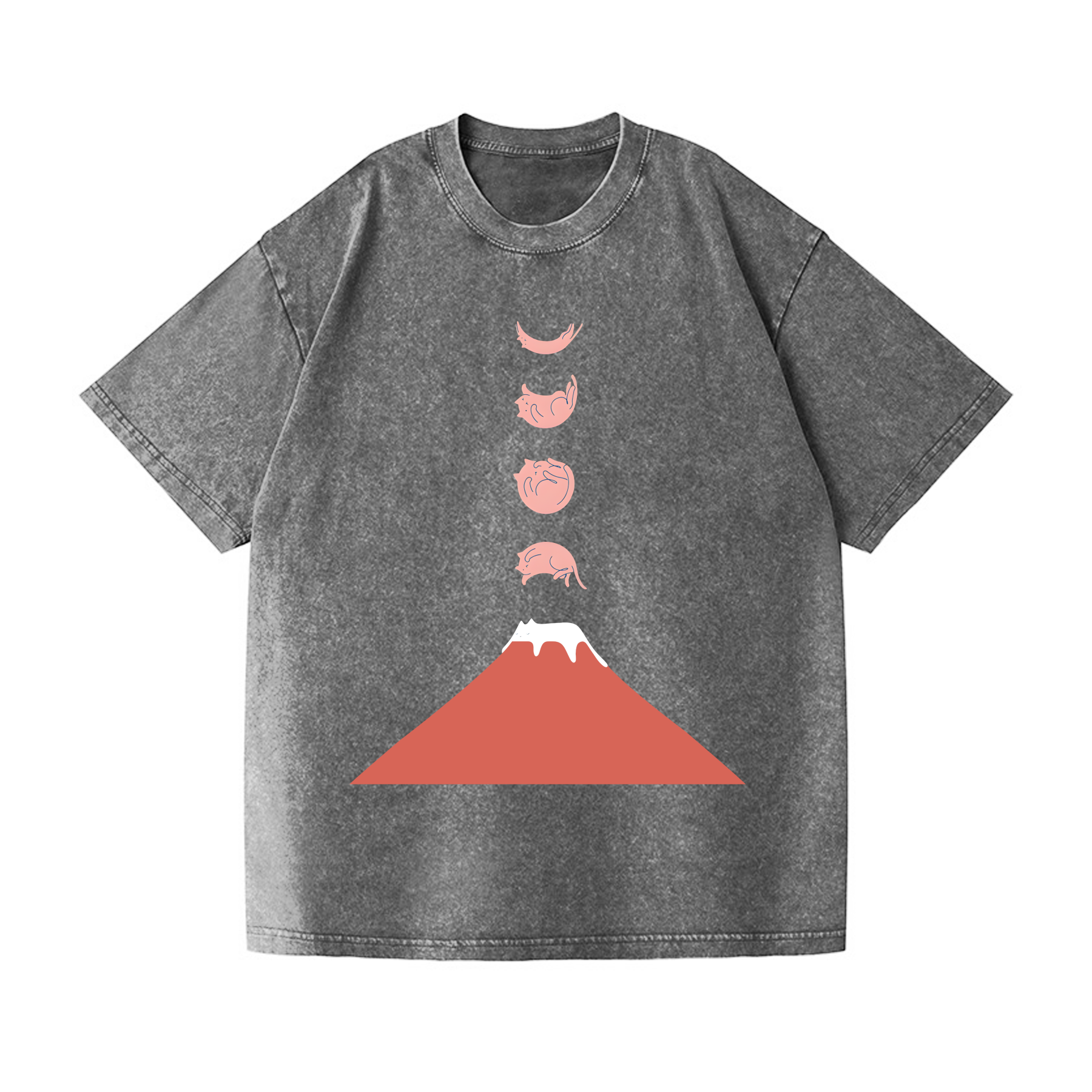 Mount FUJI Moon Cat Vintage Wash Japanese Design T-Shirt