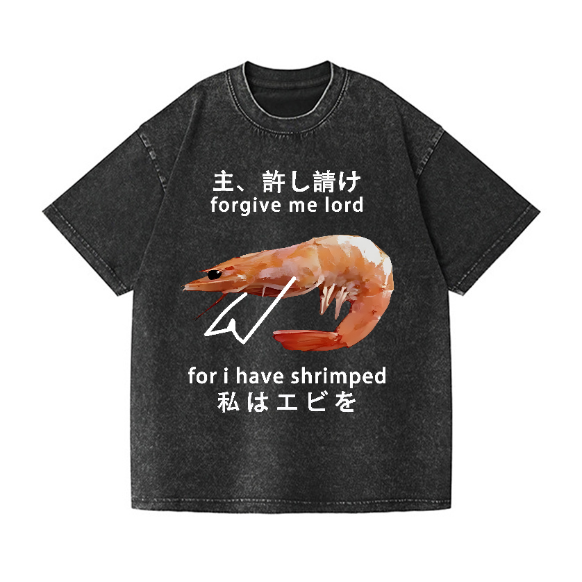 Shrimp Vintage Wash Japanese Design T-Shirt