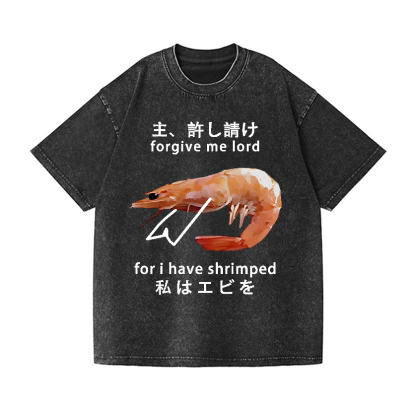 Shrimp Vintage Wash Japanese Design T-Shirt