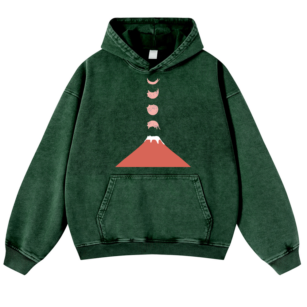 Mount FUJI Moon Cat Vintage Washed Thick Cotton Hoodie