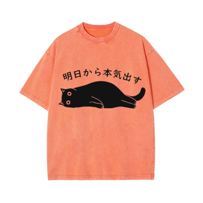 Vintage Wash Japanese Design T-Shirt