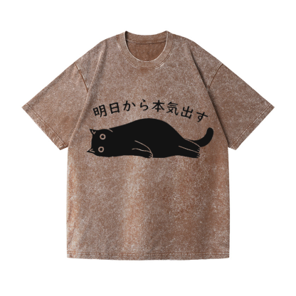 Vintage Wash Japanese Design T-Shirt