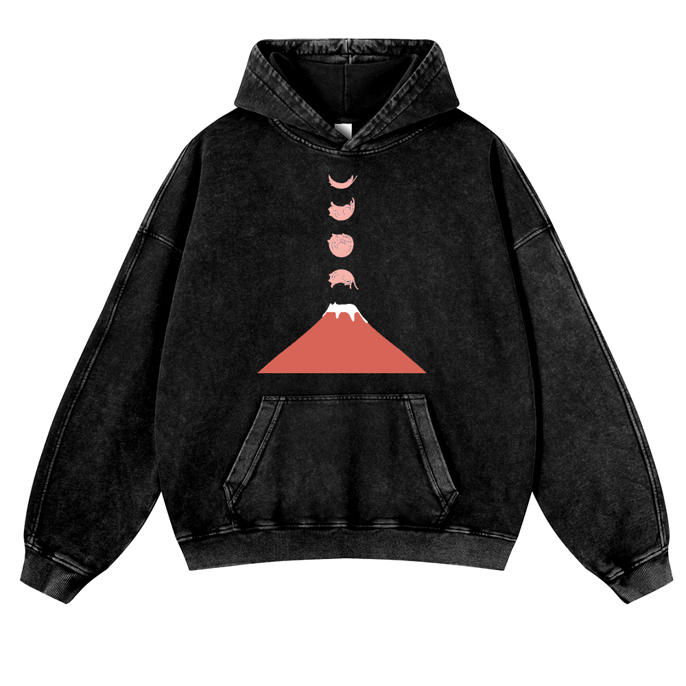 Mount FUJI Moon Cat Vintage Washed Thick Cotton Hoodie