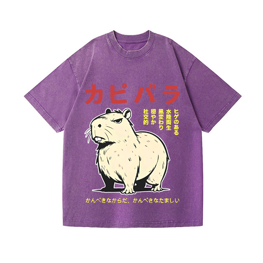 Capybara Vintage Wash Japanese Design T-Shirt