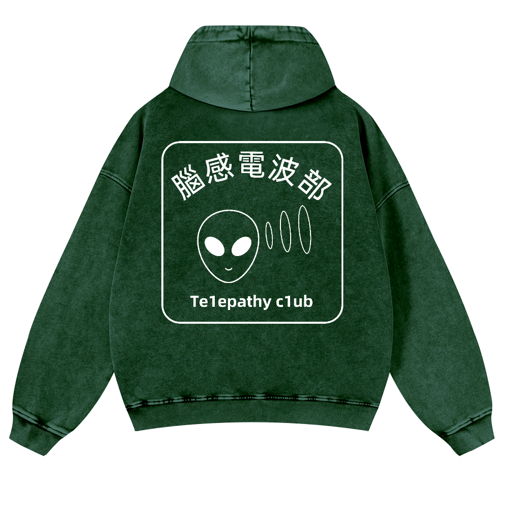 Telepathy Club Vintage Washed Cotton Back Art Hoodie