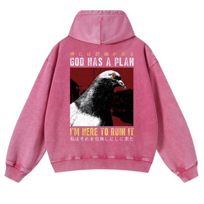 Pigeon Vintage Washed Cotton Back Art Hoodie