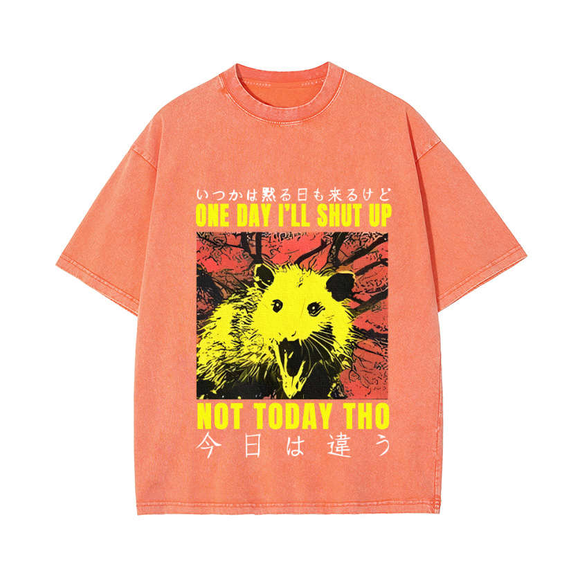 No Silence Today Vintage Wash Japanese Design T-Shirt