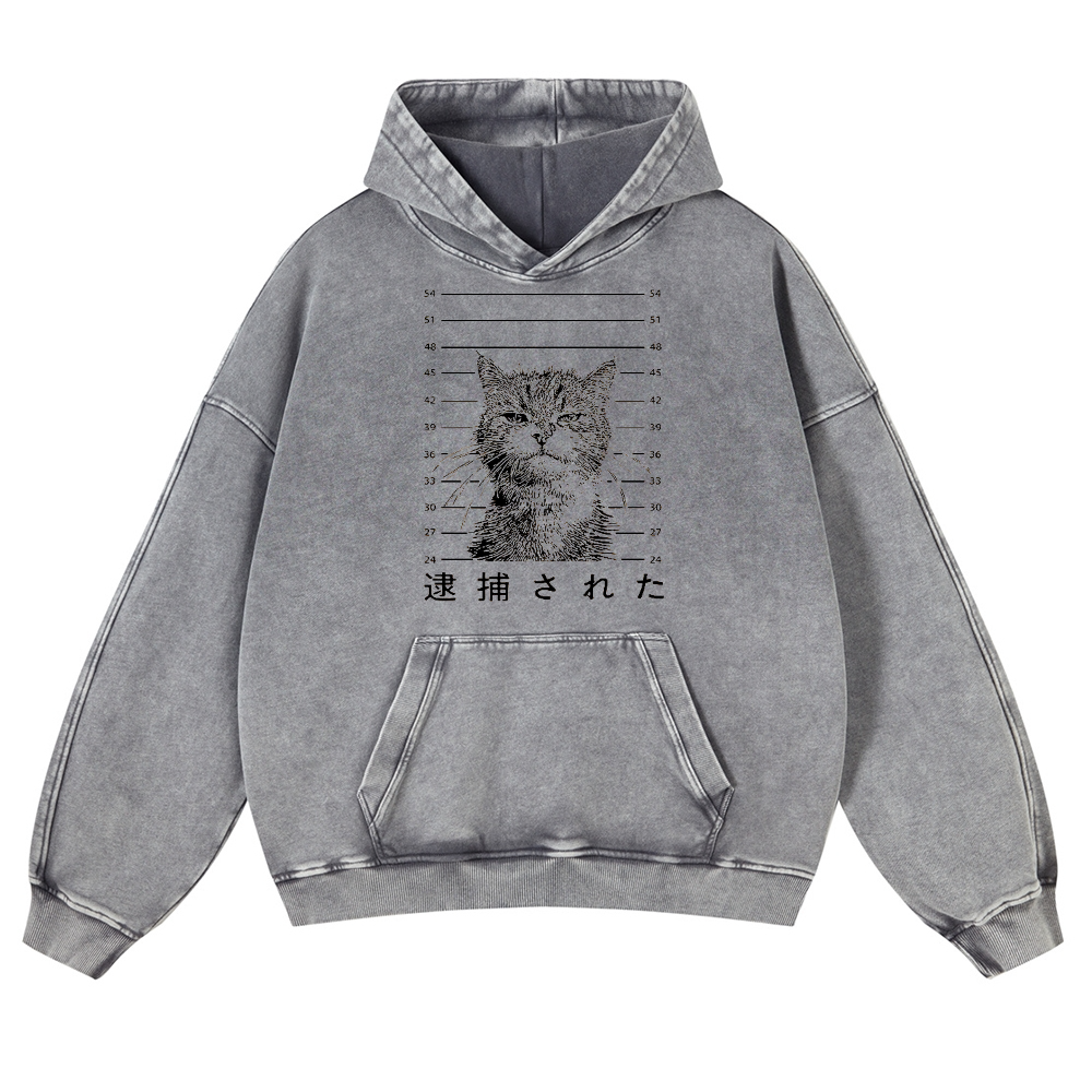 Arrested Cat Vintage Washed Thick Cotton Hoodie