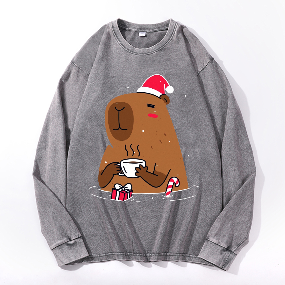 Capybara Vintage Cotton Wash Crewneck Sweatshirt