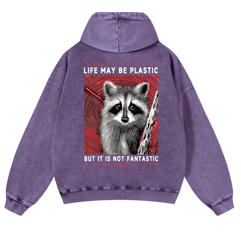 Raccoon Vintage Washed Cotton Back Art Hoodie