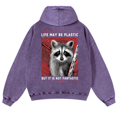 Raccoon Vintage Washed Cotton Back Art Hoodie