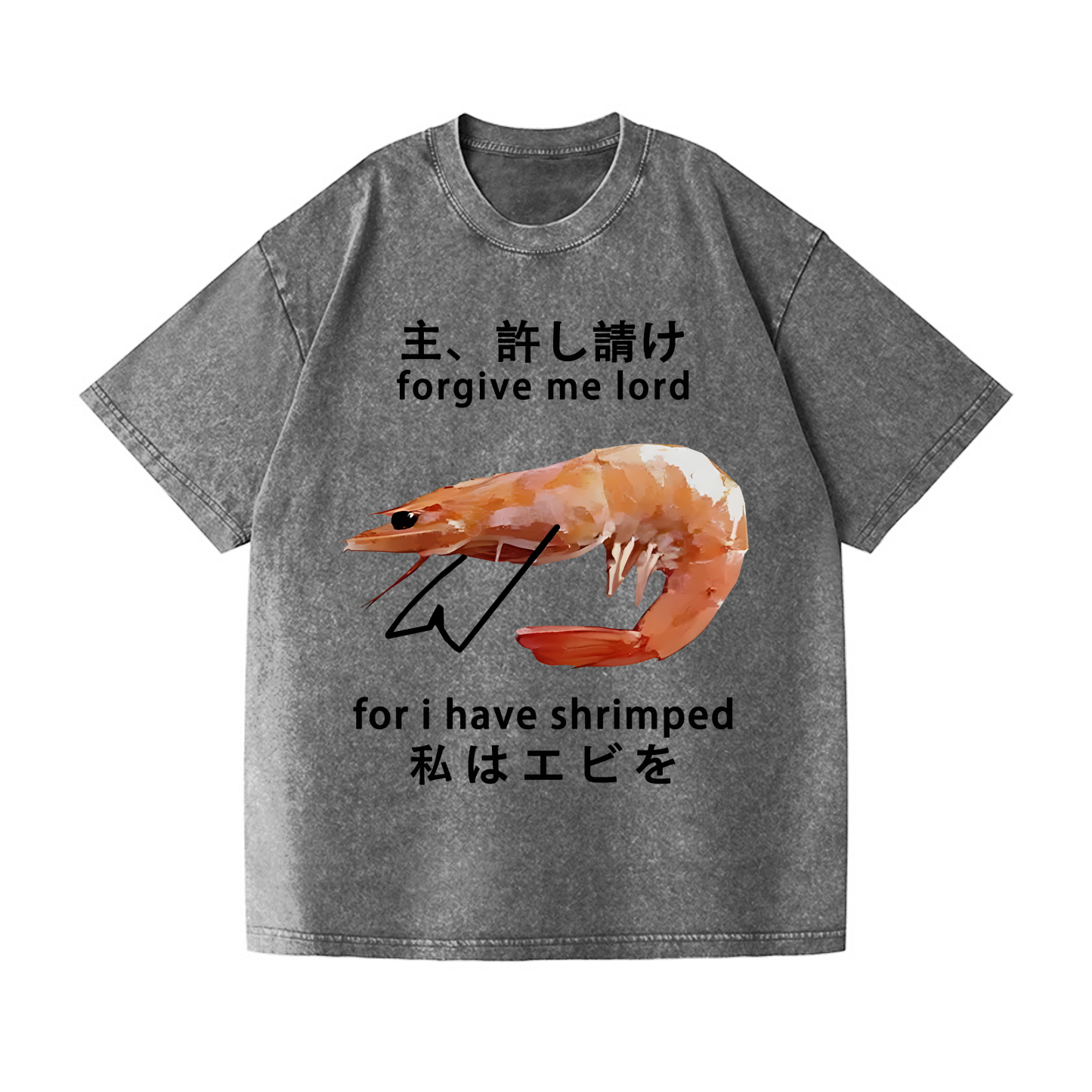 Shrimp Vintage Wash Japanese Design T-Shirt