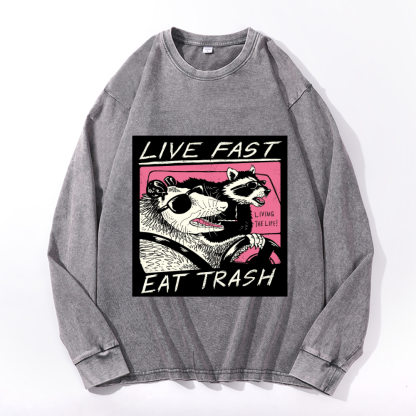 Vintage Cotton Wash Crewneck Sweatshirt