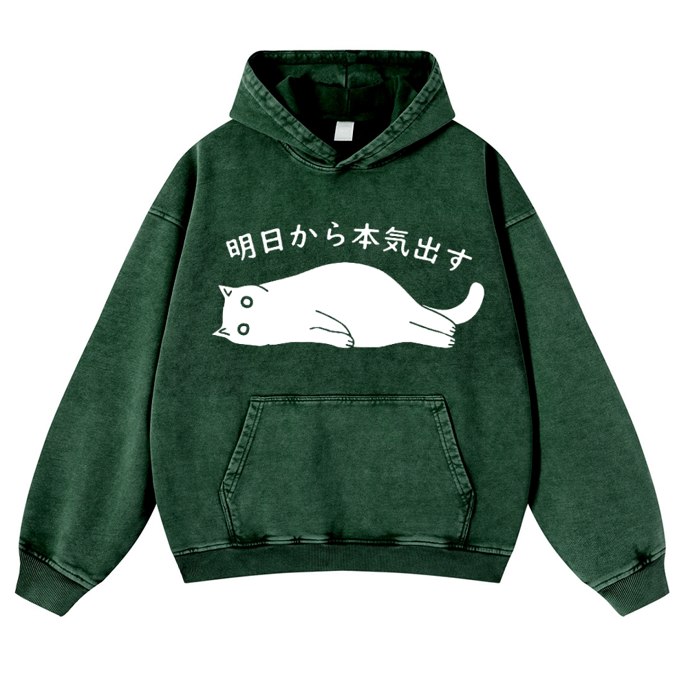 Get Serious from Tomorrow Onwards Vintage Washed Thick Cotton Hoodie