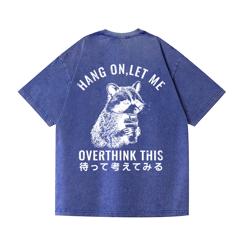 Racoon Vintage Wash Japanese Design Back Art T-Shirt