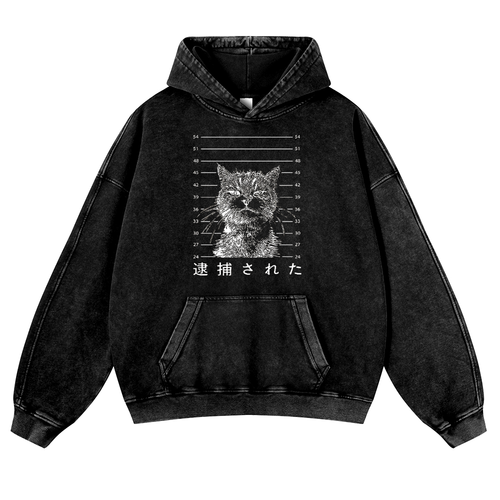 Arrested Cat Vintage Washed Thick Cotton Hoodie