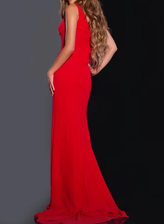 Red Plume V Long Front Split Mopping The Floor Formal Prom Dress