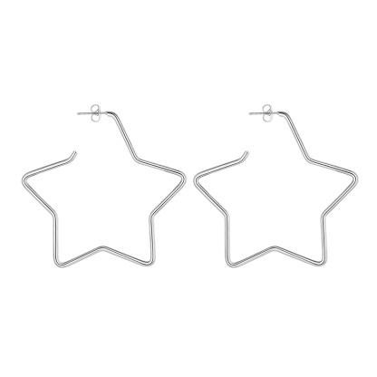 Fashion Star Stainless Steel Drop Earrings For Women SILVER