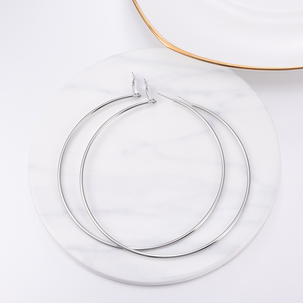 Stainless Steel Round Hoop Earrings For Women 