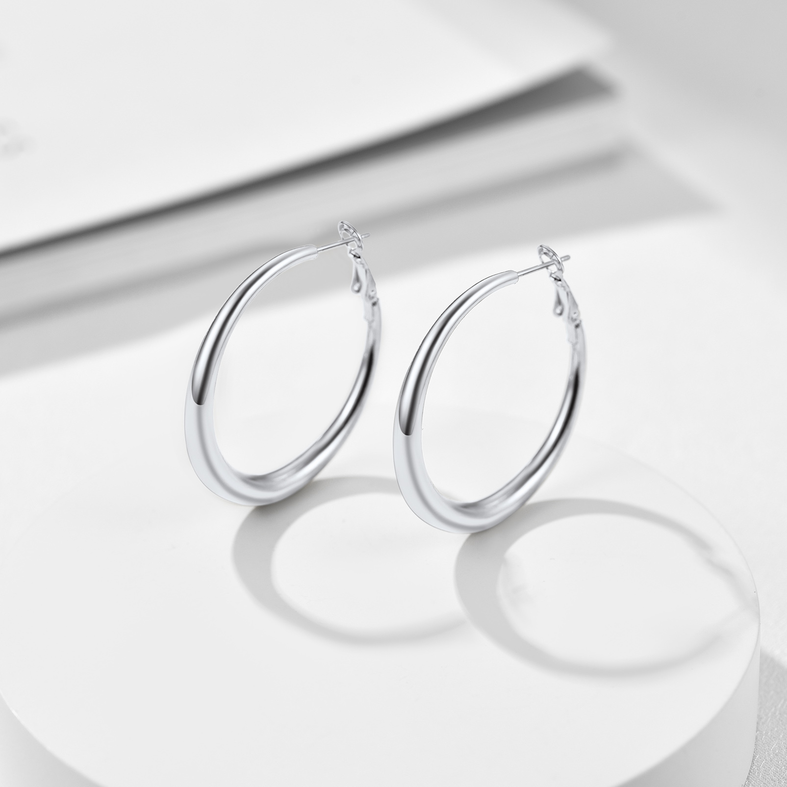 Stainless Steel Hoop Earrings Hypoallergenic Fashion Jewelry For Women detail