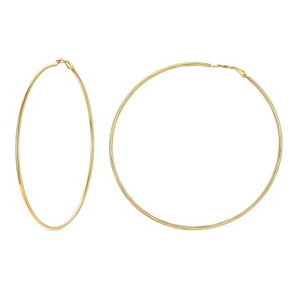 Stainless Steel Round Hoop Earrings For Women 