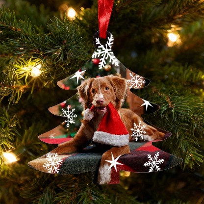 personalised gift Snowflake Photo Ornament