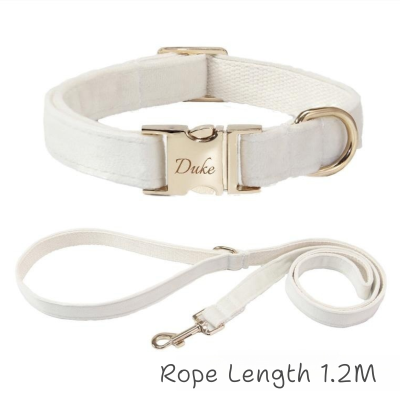 Pet Collar