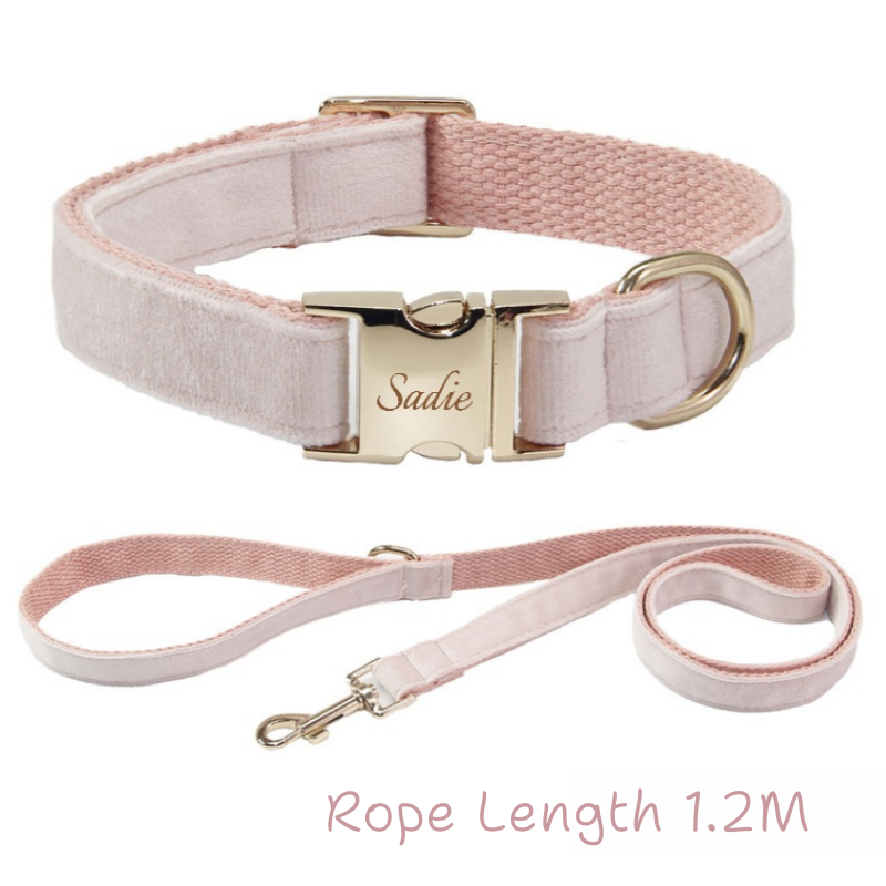 Pet Collar